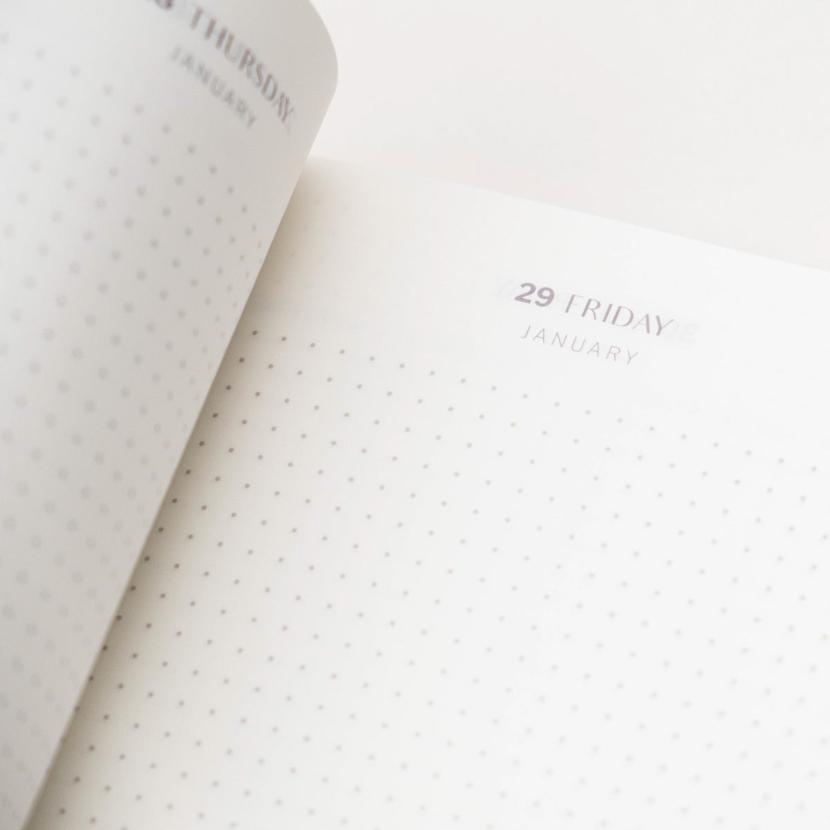 Planner Perfect 2027 Flagship Planner