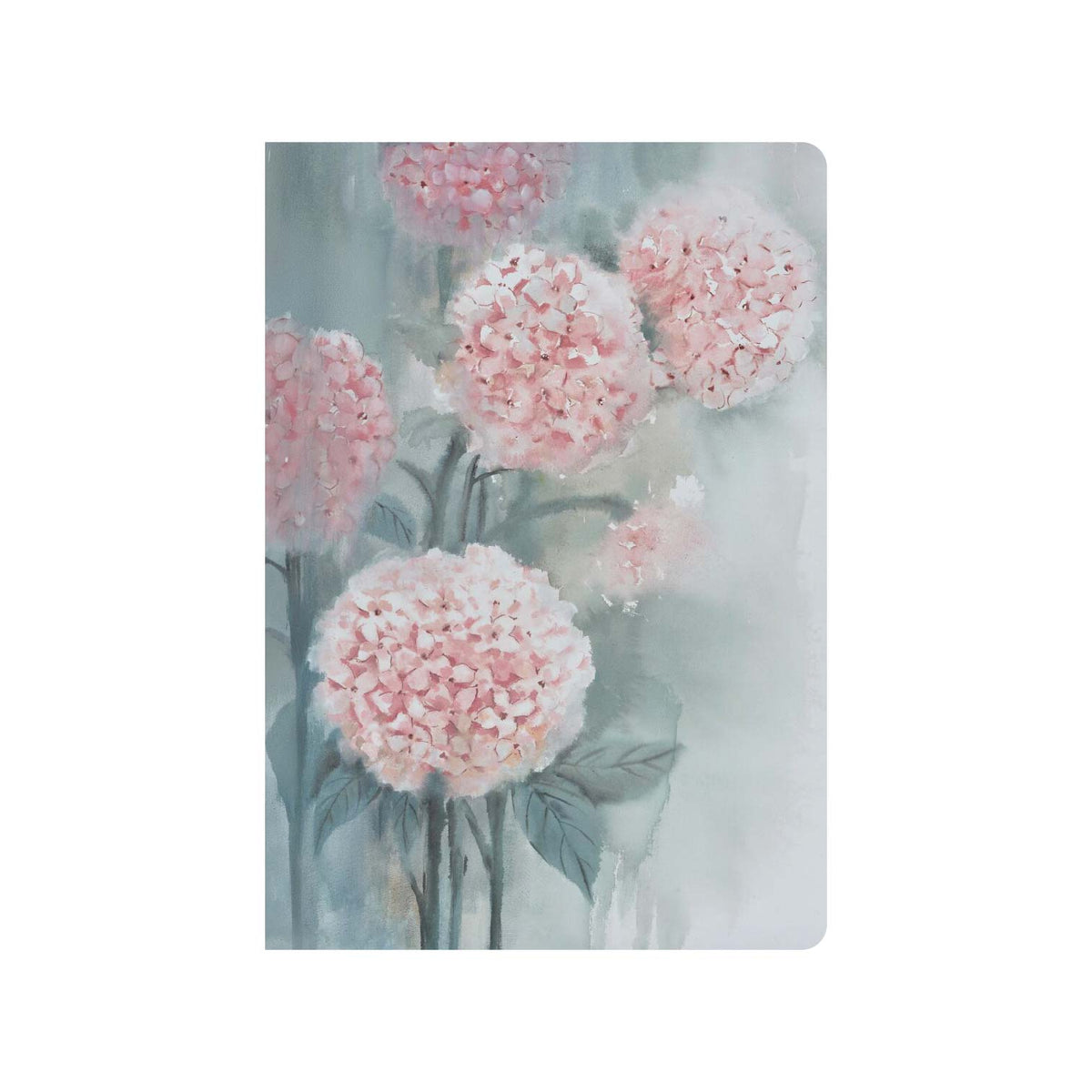 Blush Hydrangea - A5
