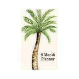 Coconut Tree 6 Month Agenda