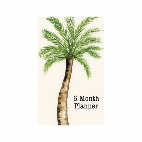 Coconut Tree 6 Month Agenda