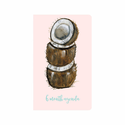 Coconuts 6 Month Agenda