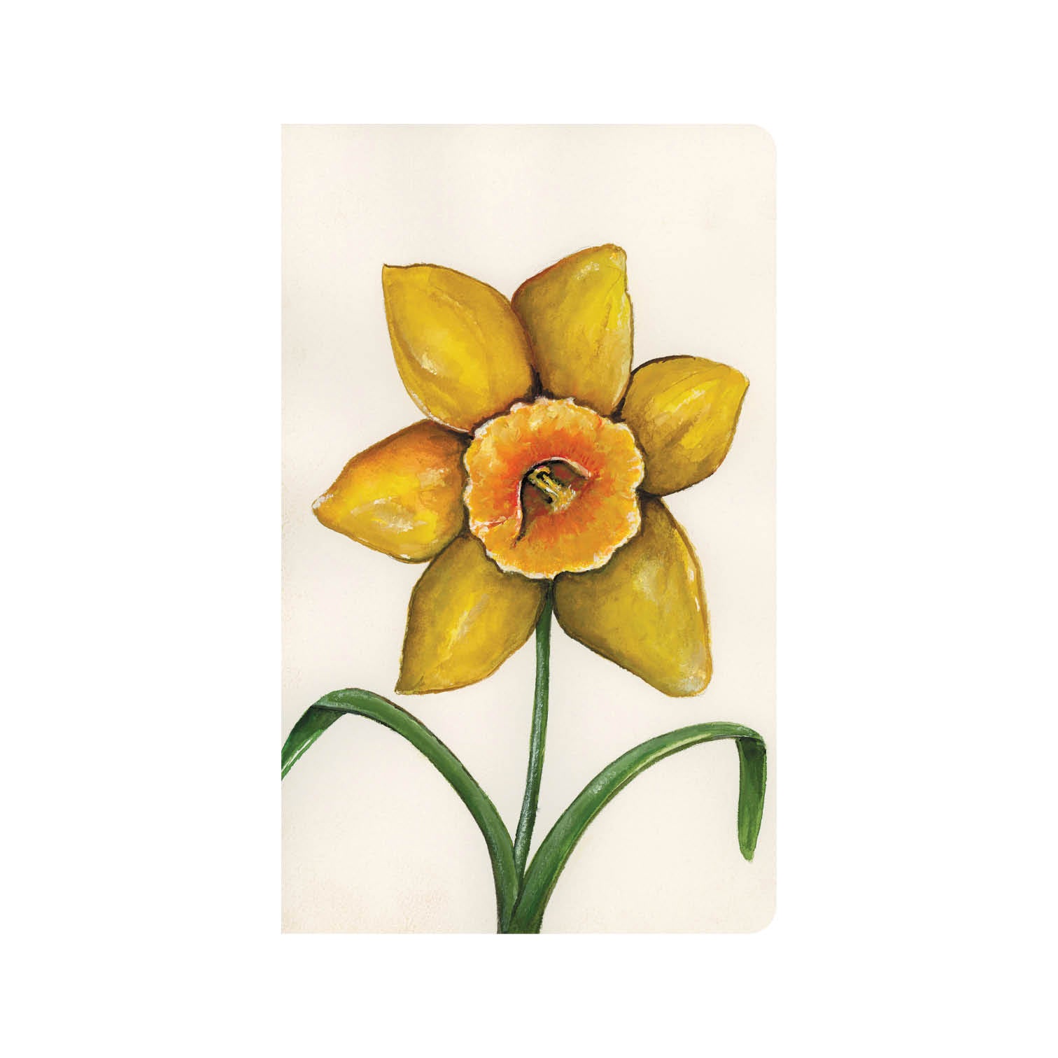 Daffodil