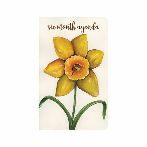 Daffodil 6 Month Agenda