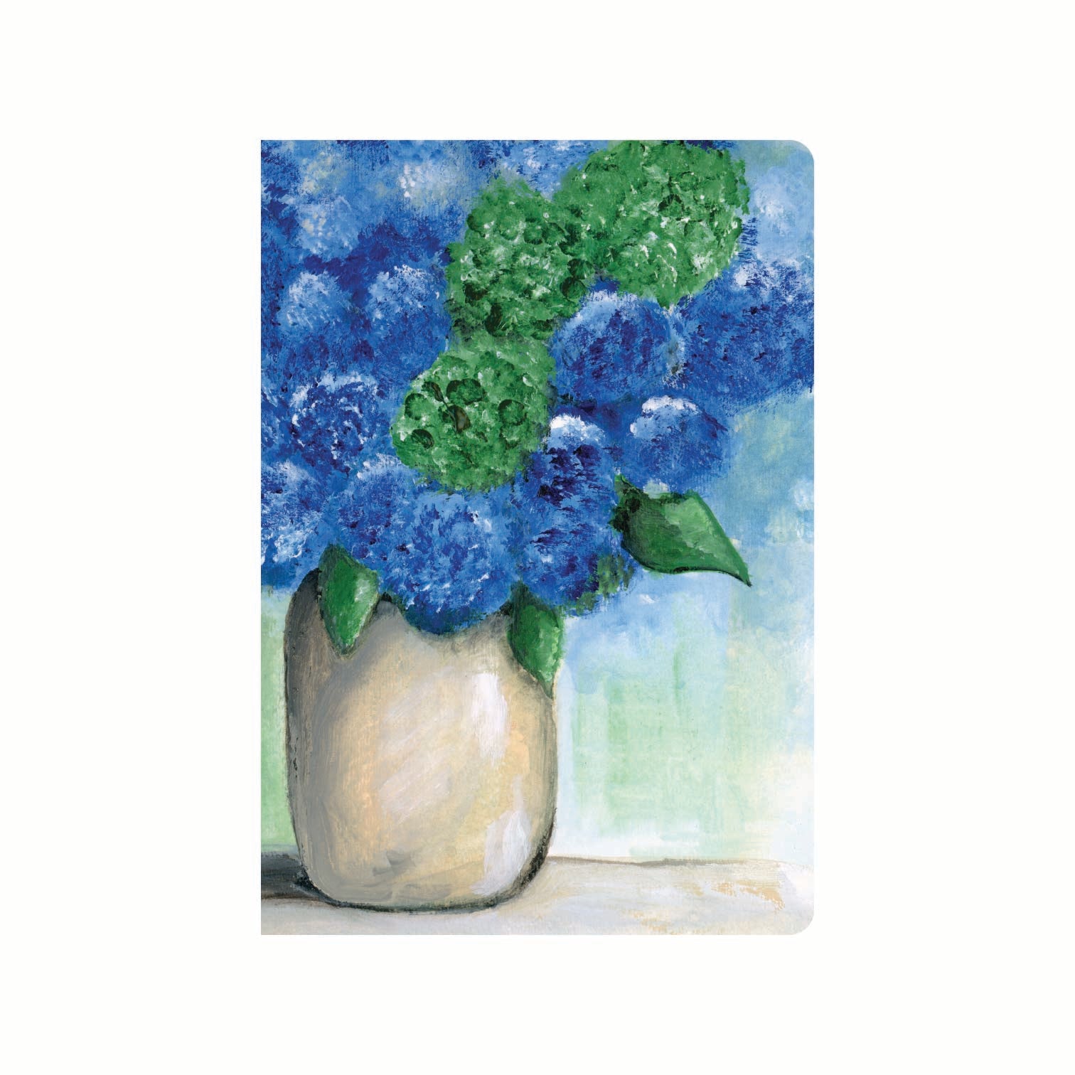 Endless Summer Hydrangea - A5