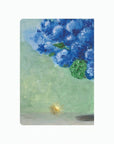 Endless Summer Hydrangea - A5