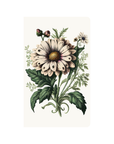 Field Study: Daisy