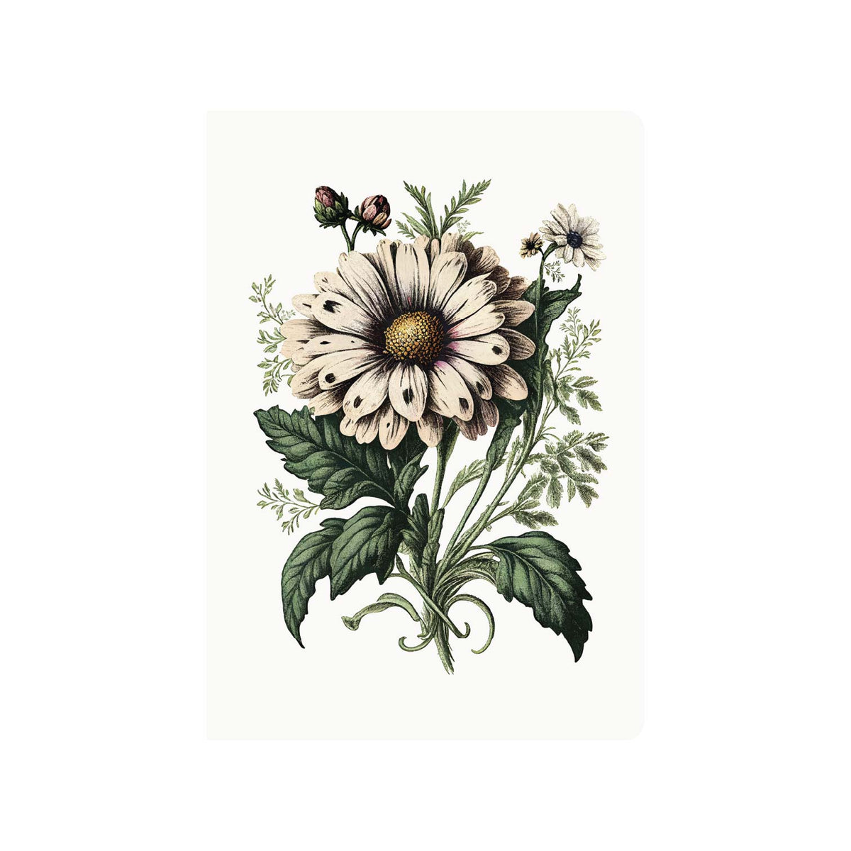 Field Study Daisy - A5