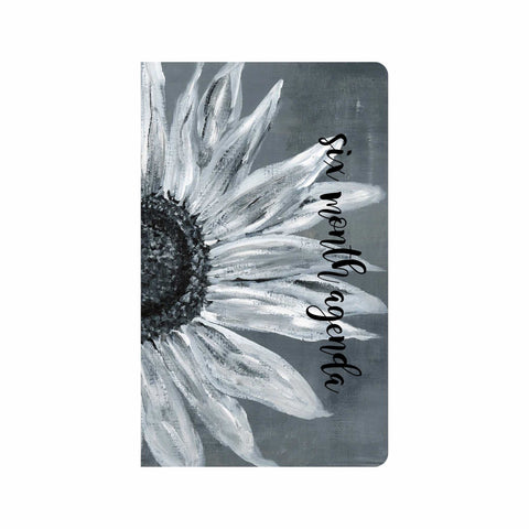 Fresh Start 6 Month Agenda