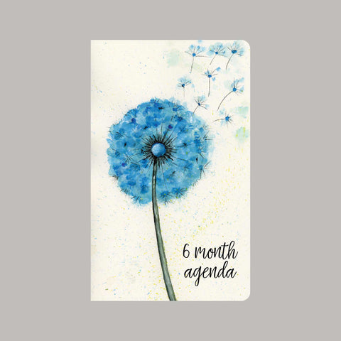 Let It Go 6 Month Agenda