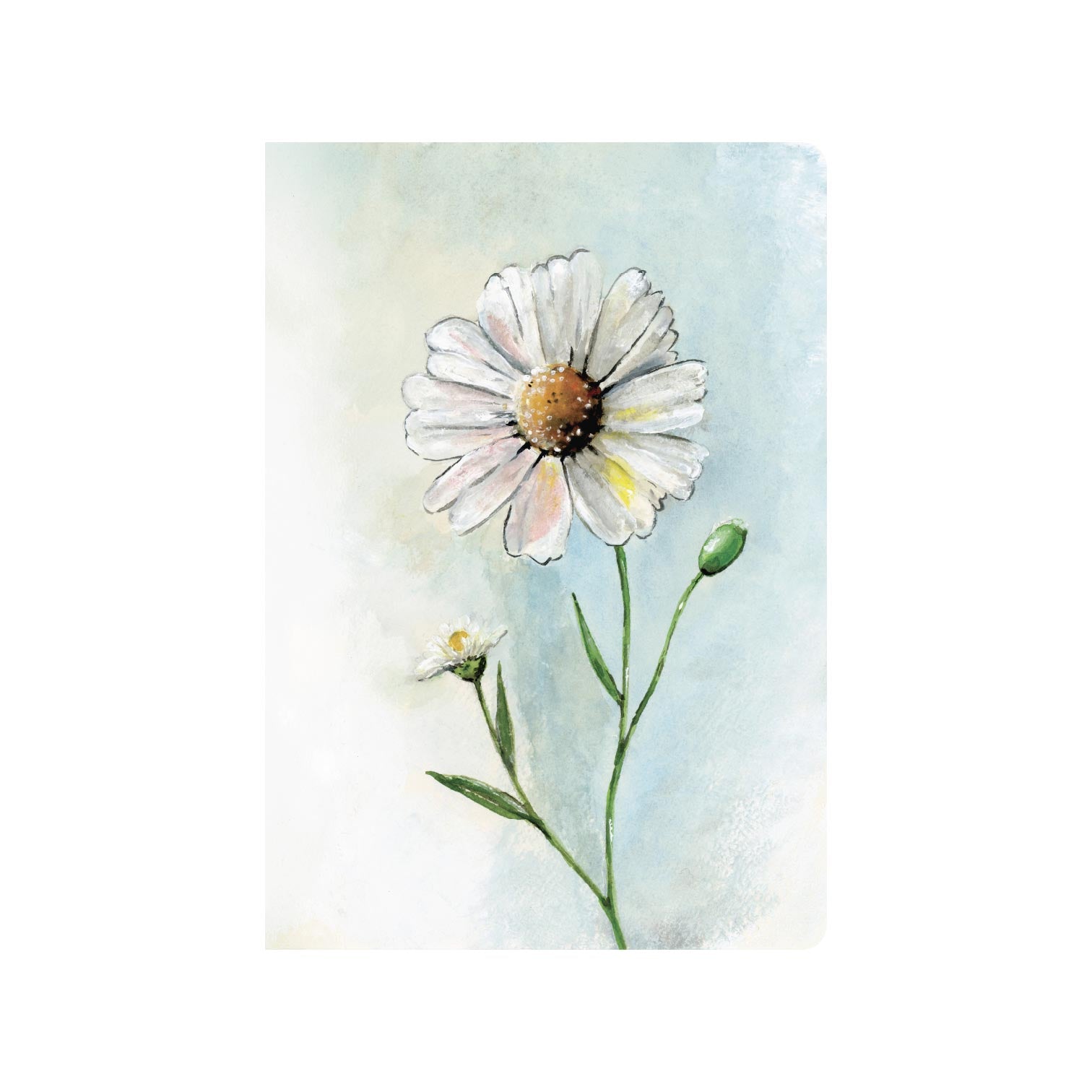 Life Is A Daisy - B6