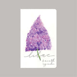 Lilac 6 Month Agenda