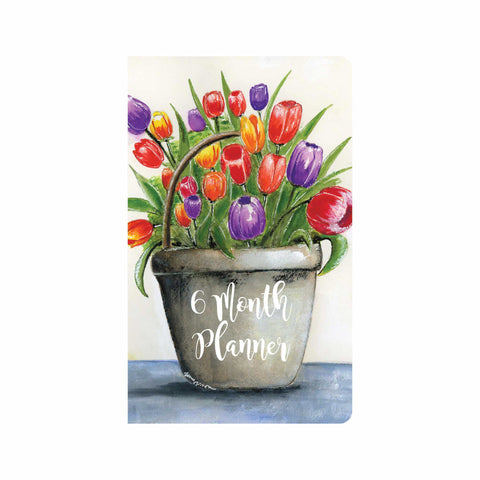 May Day 6 Month Agenda