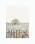 Meadow Passage - A5