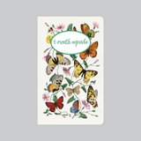 Spring Butterfly Garden 6 Month Agenda