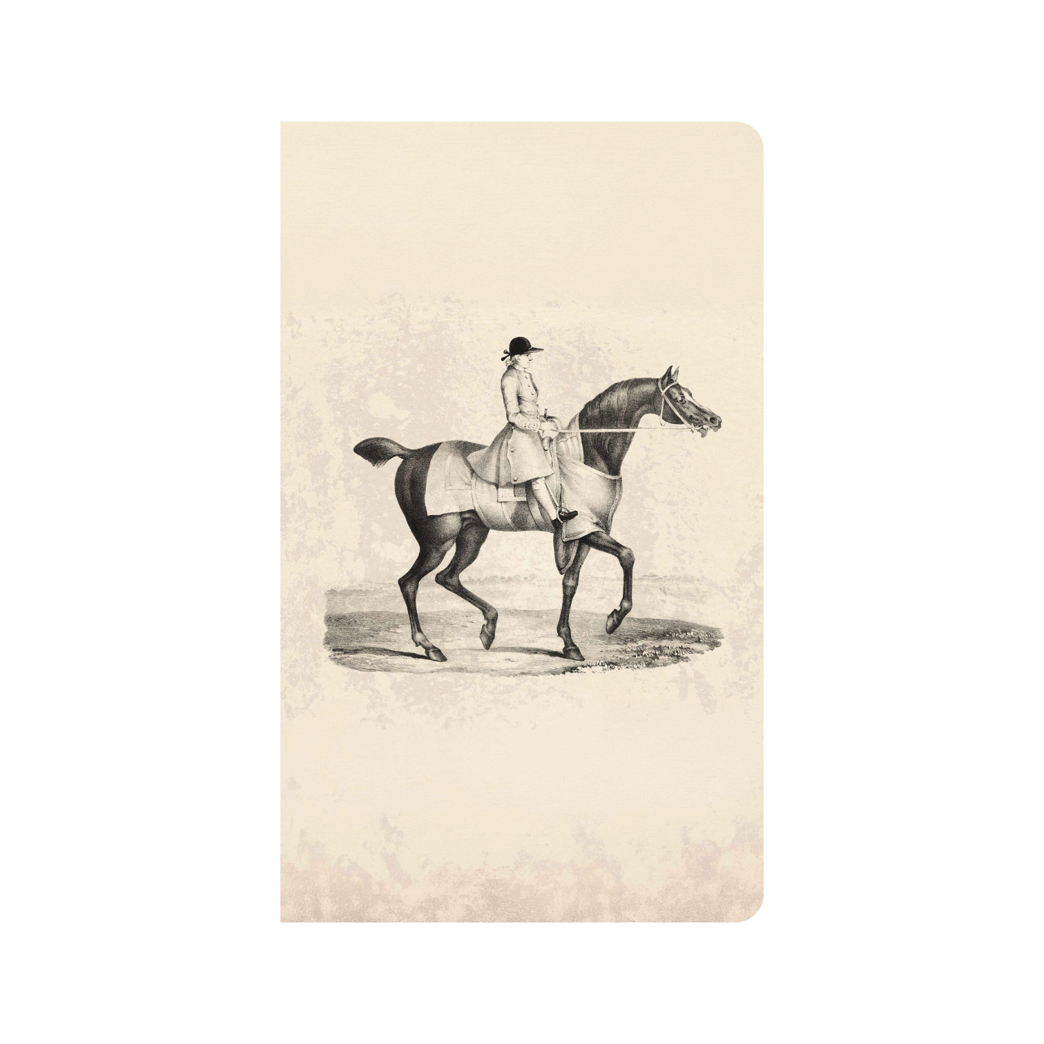 The Equestrian Ledger