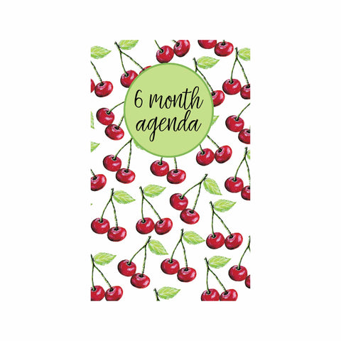 Twin Cherries 6 Month Agenda