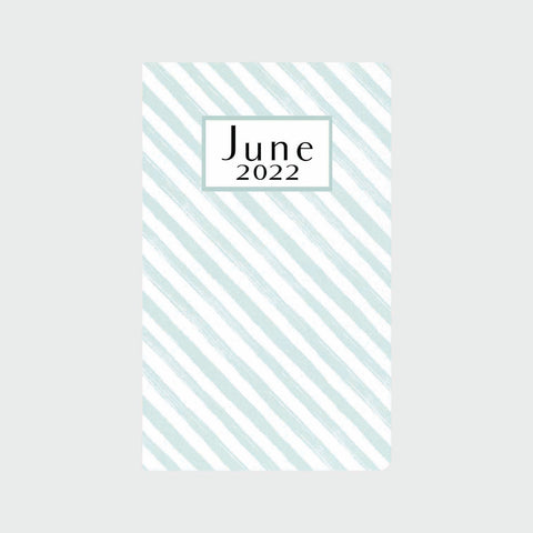 Aqua Stripe Planner