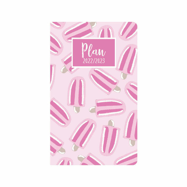 Pink Popsicle 12 Month Planner